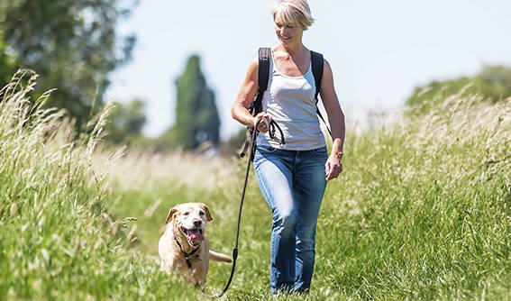 Leinenlaufen, Beschäftigung Hund, Rückruf, Hundebegegnungen