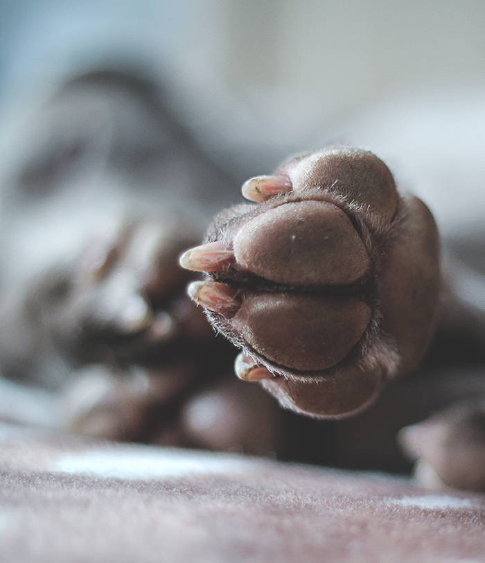 kachel_bowen-885-885-885-885.jpg kachel_bowen-885-885-885-885.jpg